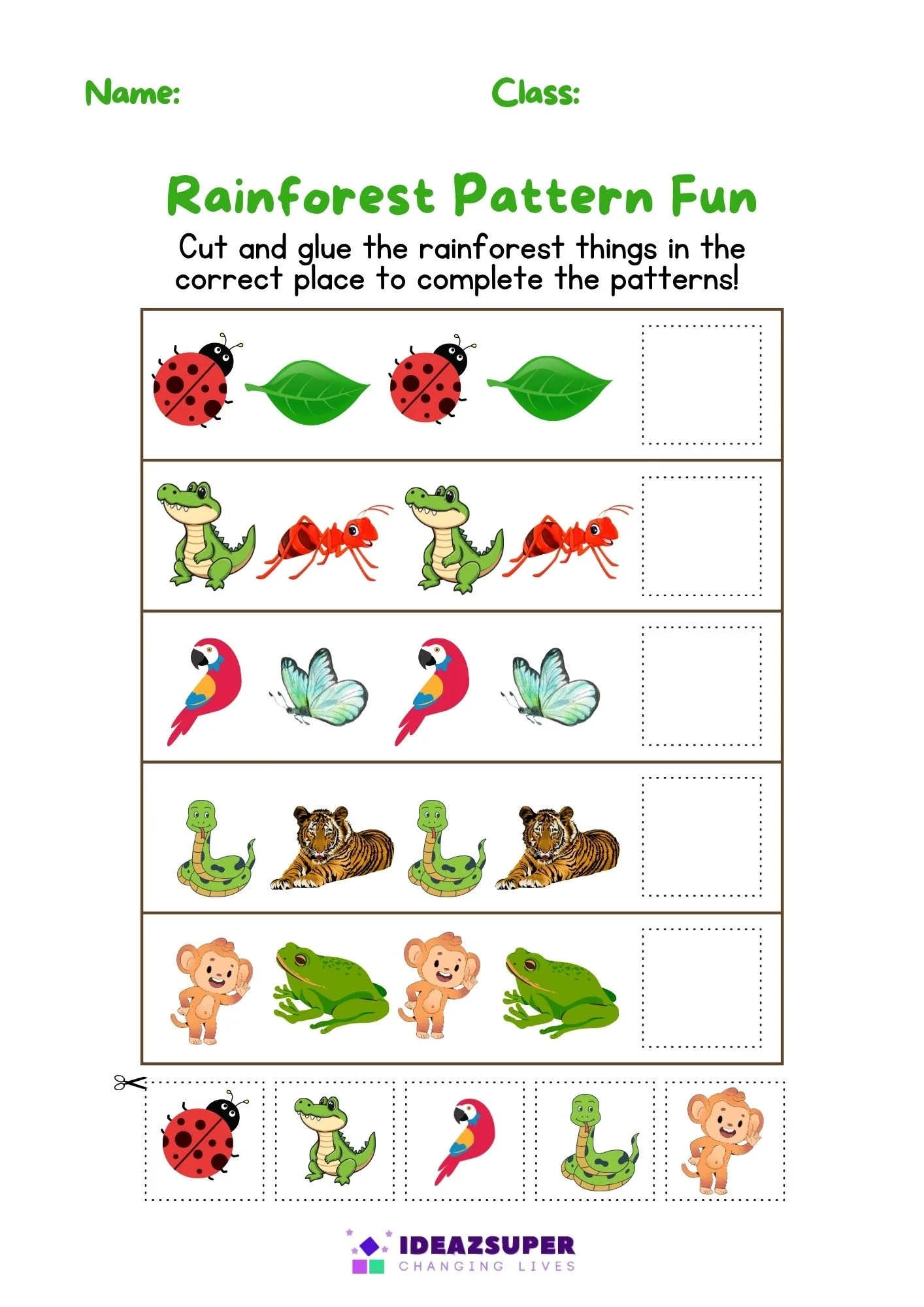 World Rainforest Day (8)