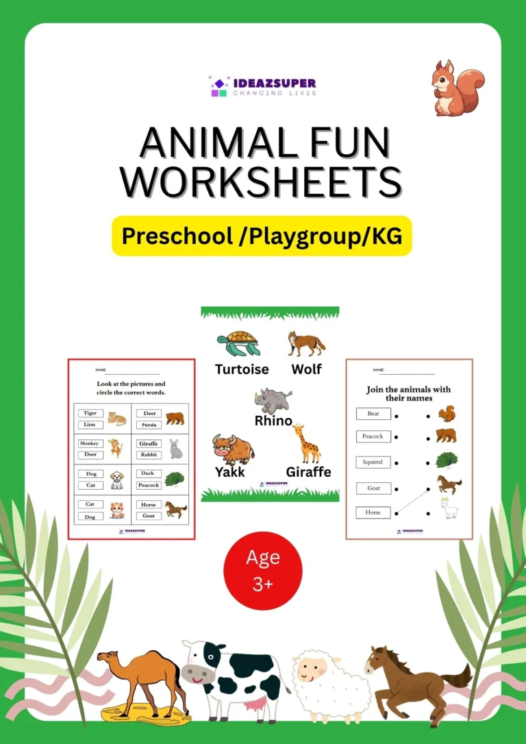 Animal Activity Book English