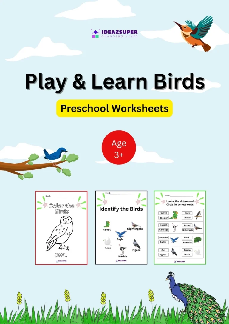 Bird Recognition and Vocabulary Worksheets for Preschool (English)