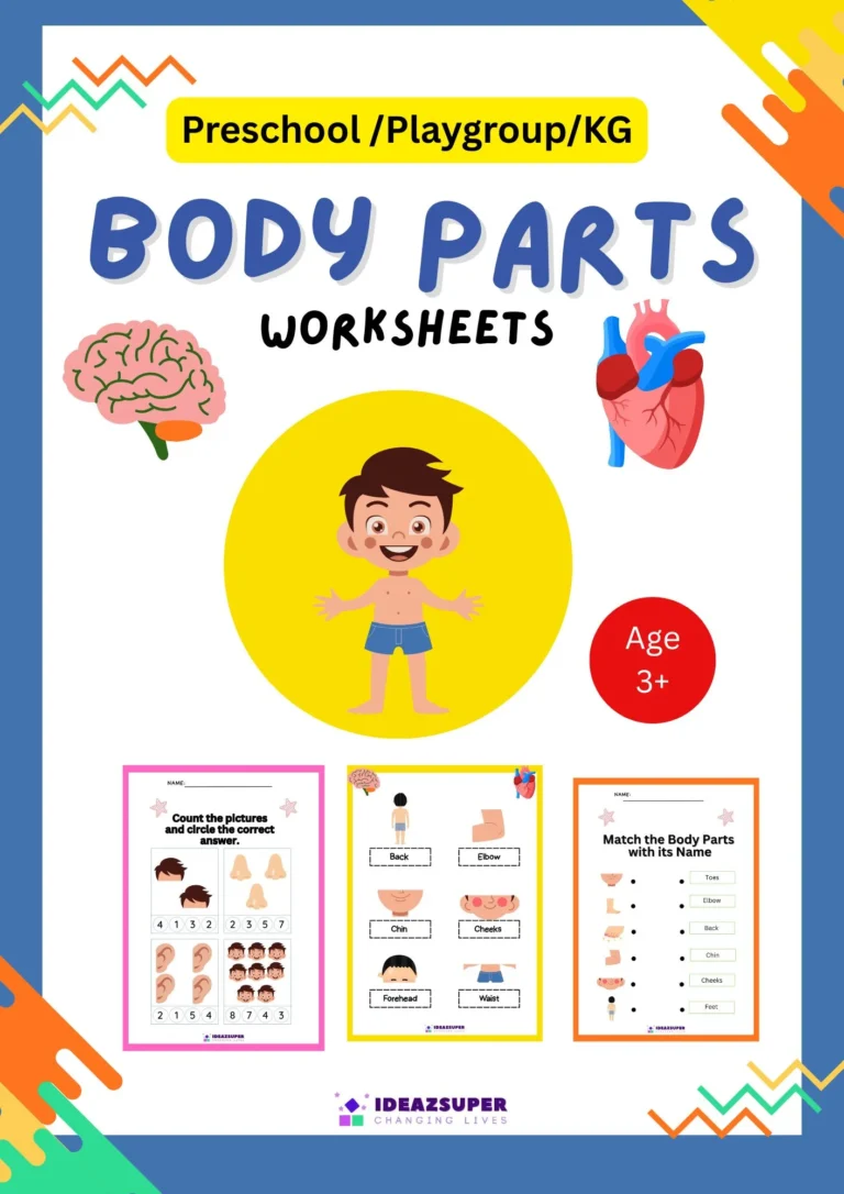 Body Parts Recognition Worksheets for Preschool (English)