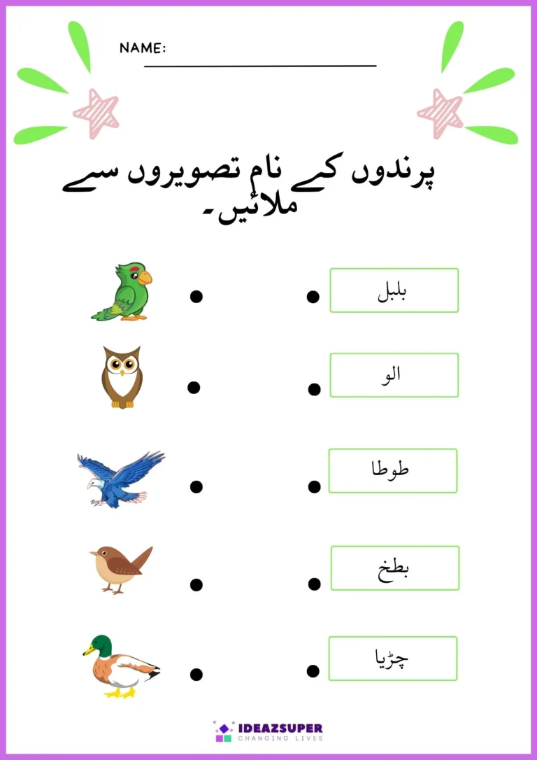 Urdu birds worksheet: match bird names to pictures