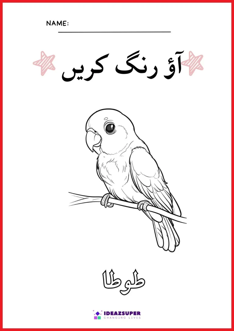 Urdu birds colouring page: colour the parrot (طوطا)
