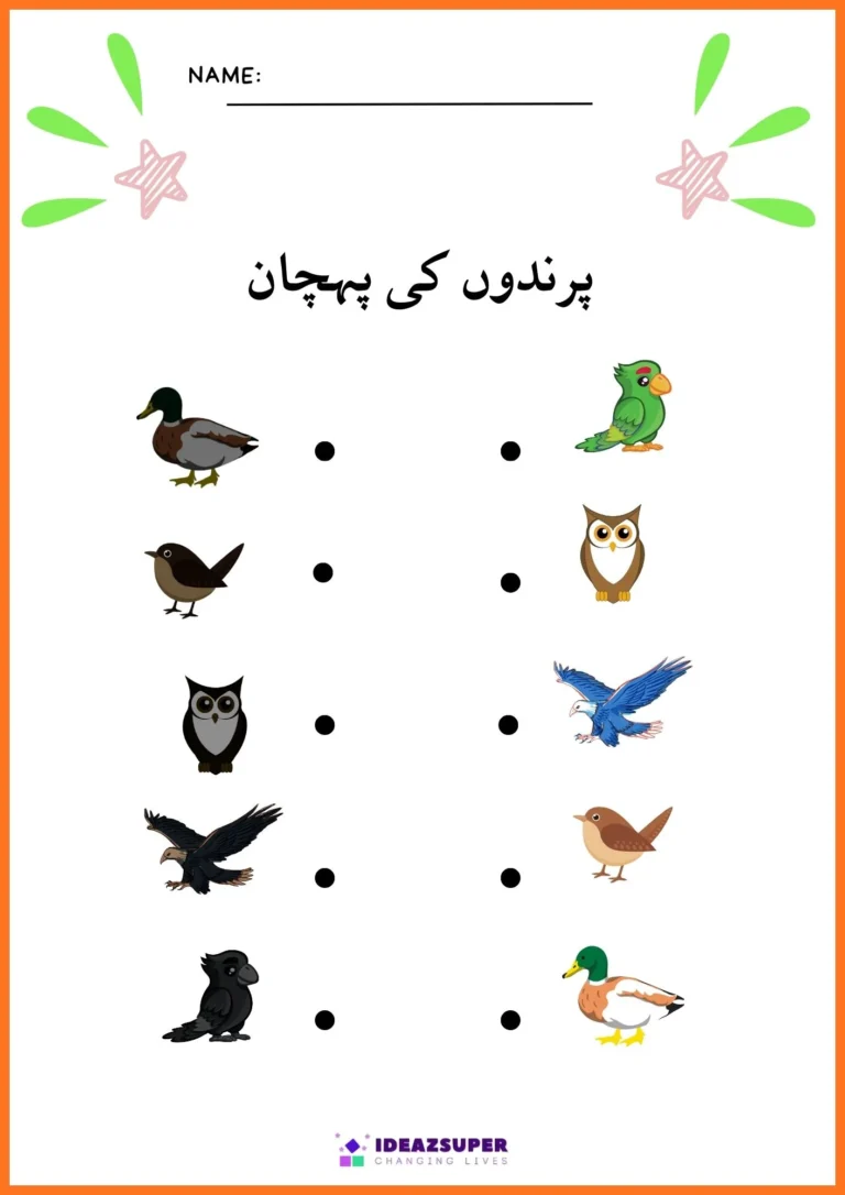Urdu birds worksheet: match each bird to its shadow