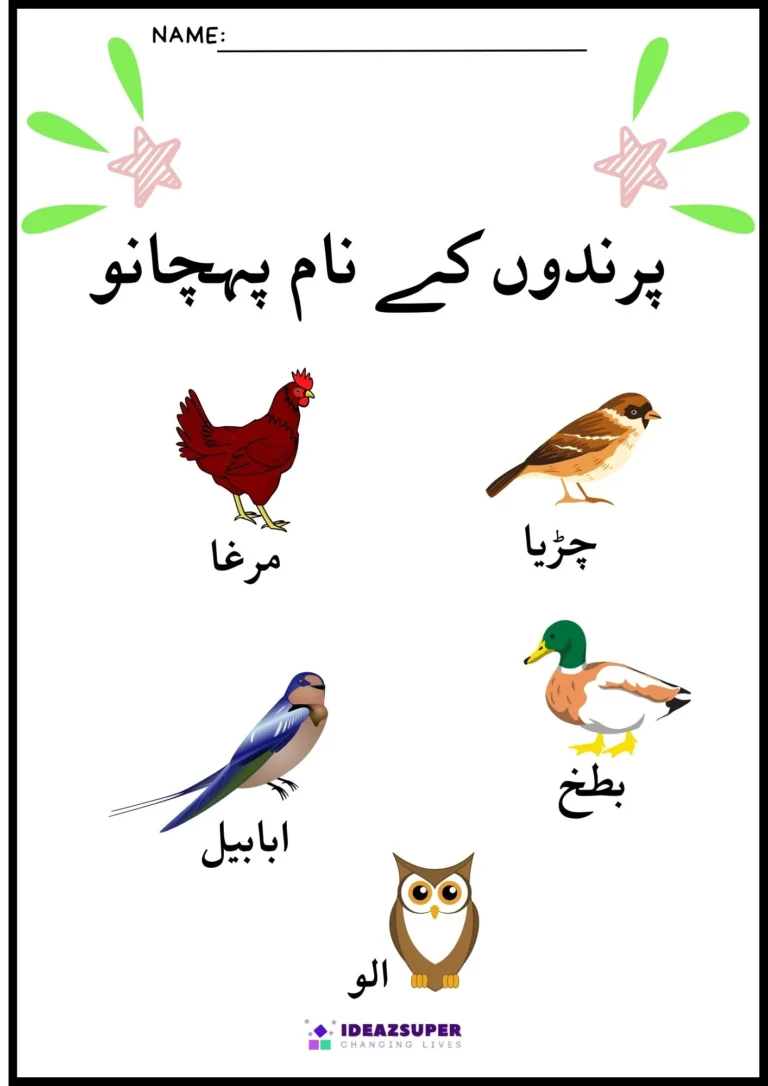 Urdu bird names worksheet: learn the bird names (پرندوں کے نام پہچانو)