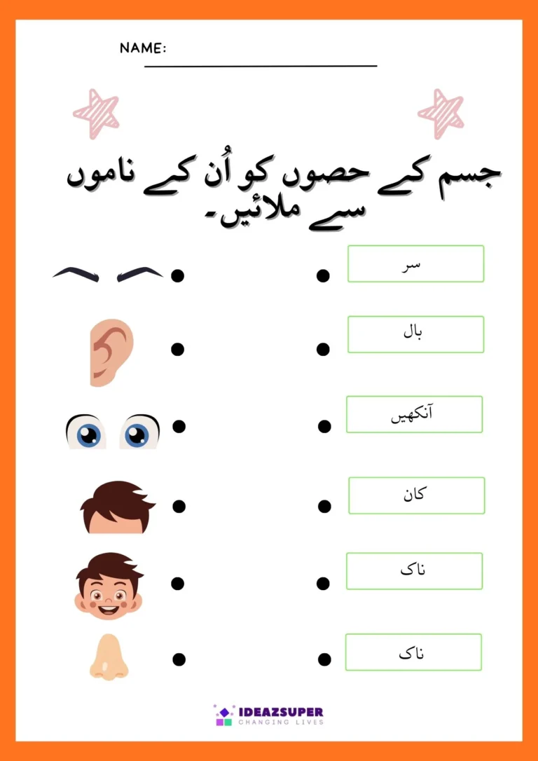 Urdu body parts worksheet: match body parts to their names