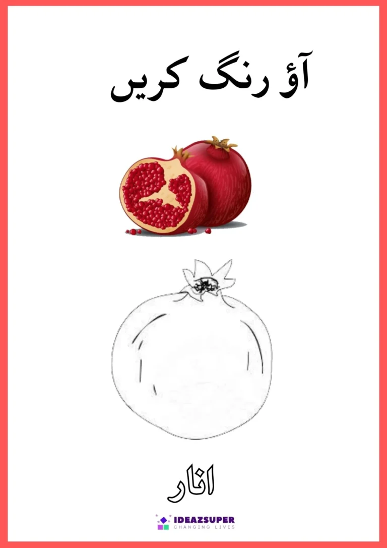 Urdu fruits colouring page: colour the pomegranate (انار)