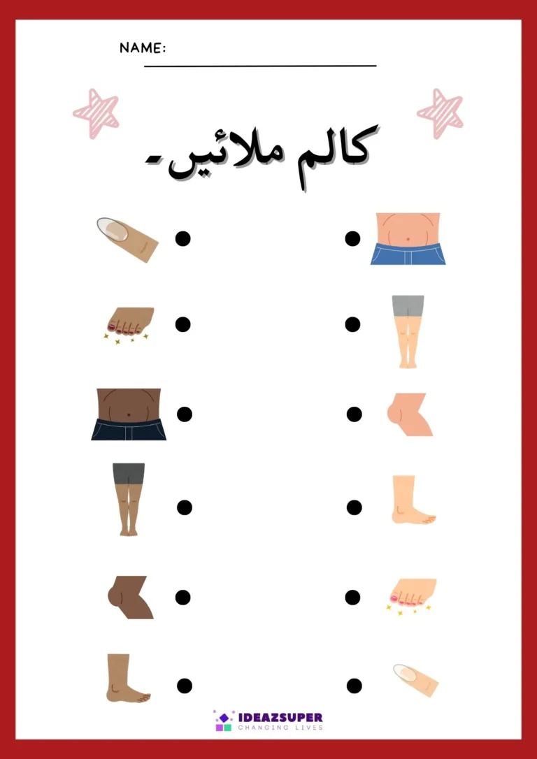 Urdu body parts worksheet: match the columns