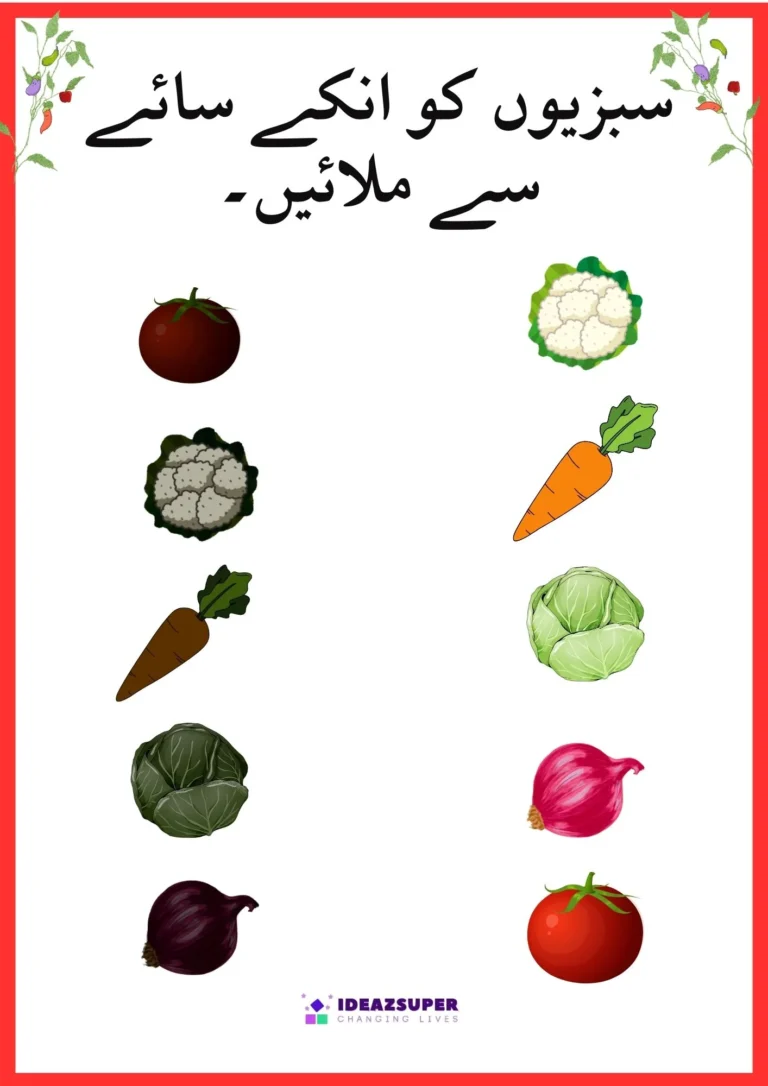 Urdu vegetables worksheet: match each vegetable to its shadow
