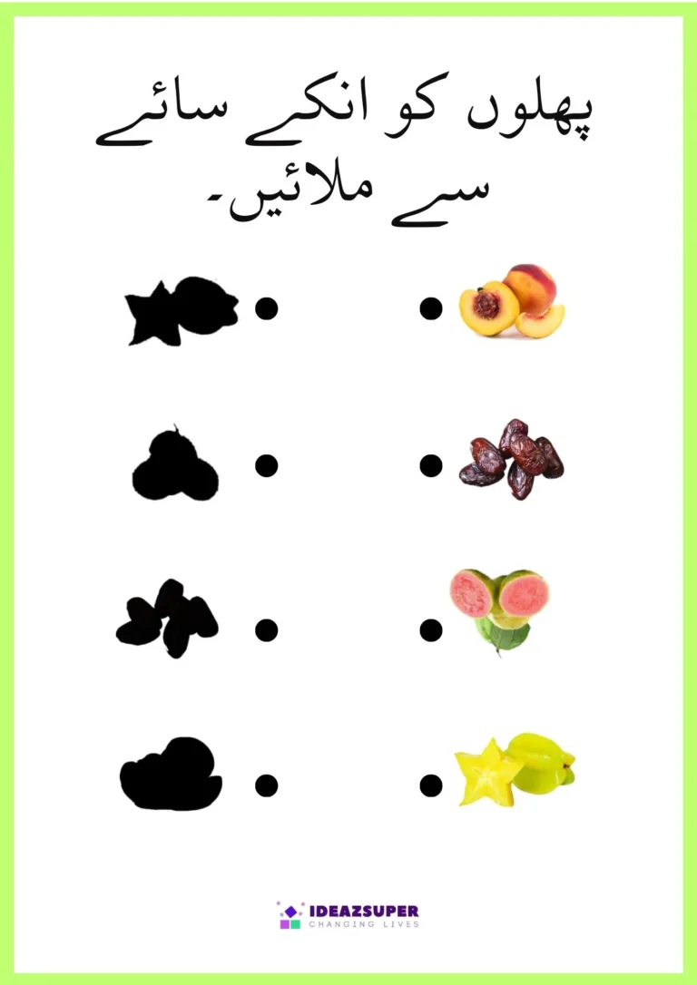 Urdu fruits worksheet: match each fruit to its shadow