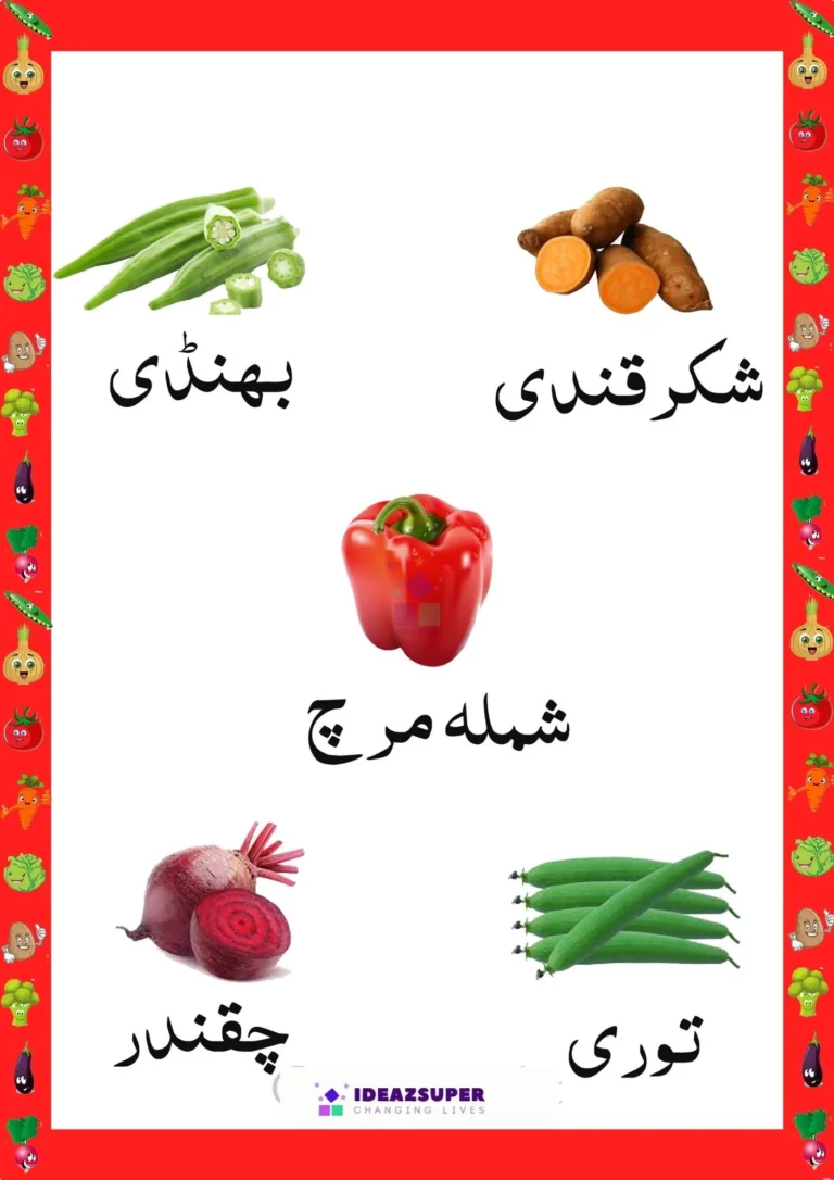 Urdu vegetable names worksheet: learn the vegetable names