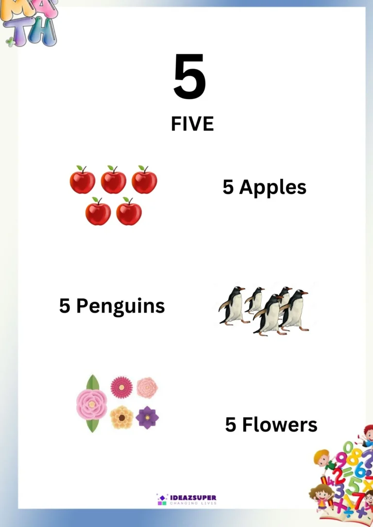 My First Counting Book: the number 5 with its number word and three groups of pictures