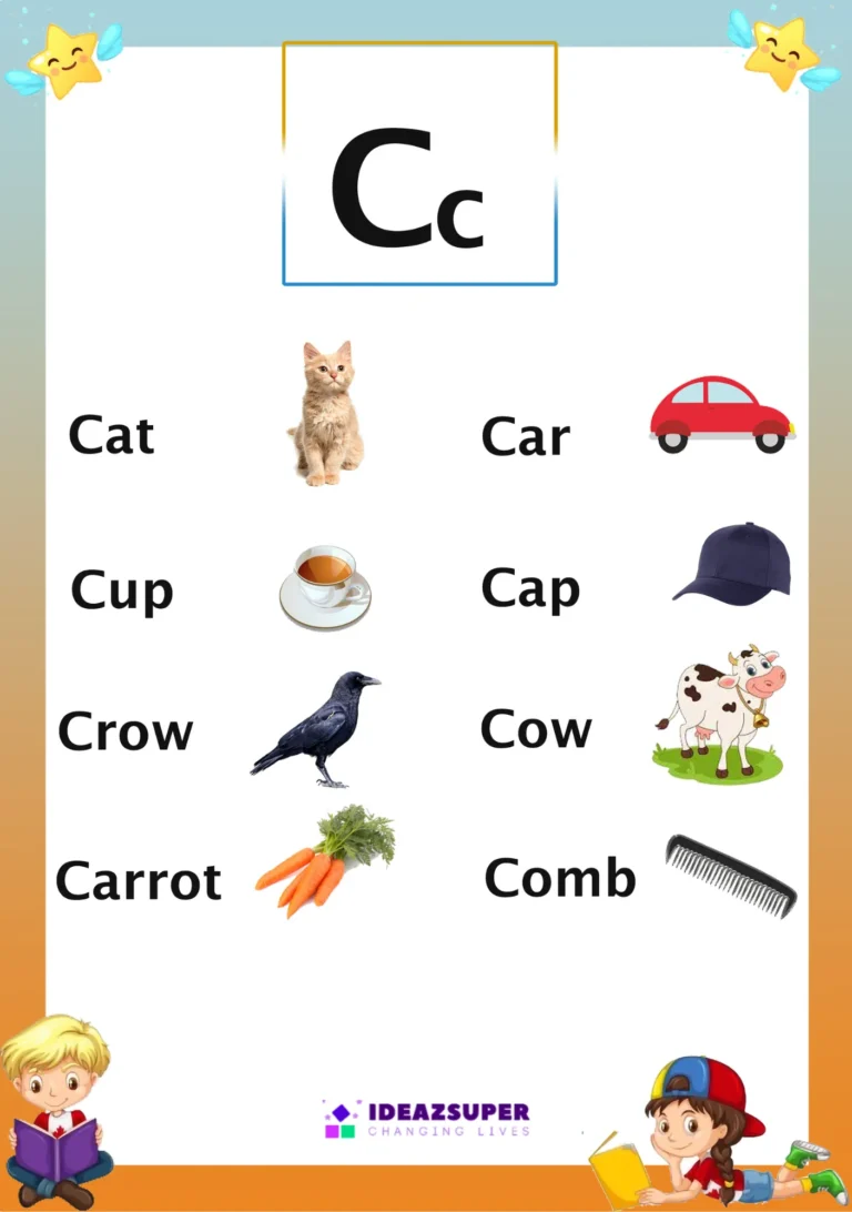 Alphabet Cc Identification English Flash Card