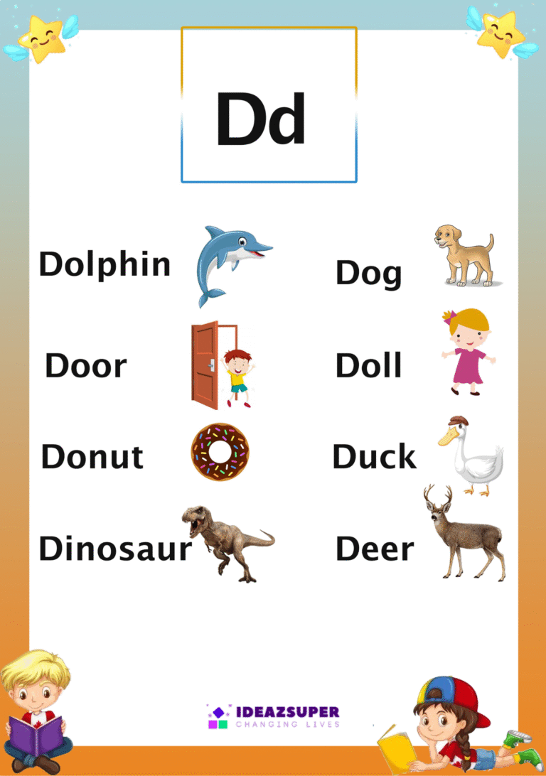 Alphabet Dd Identification English Flash Card.