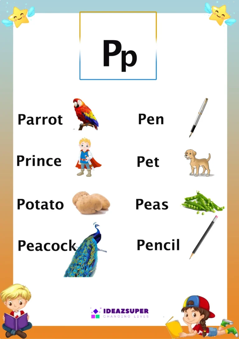 Letter P picture flash card with words that begin with P