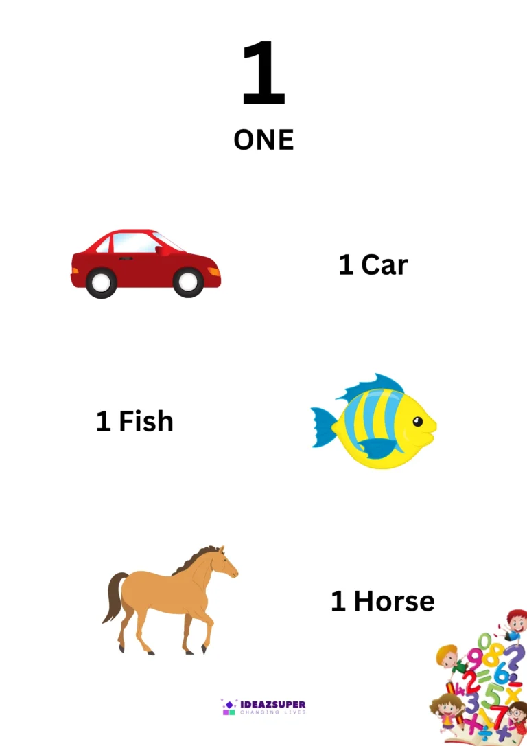 Number 1 Identification Flash Card