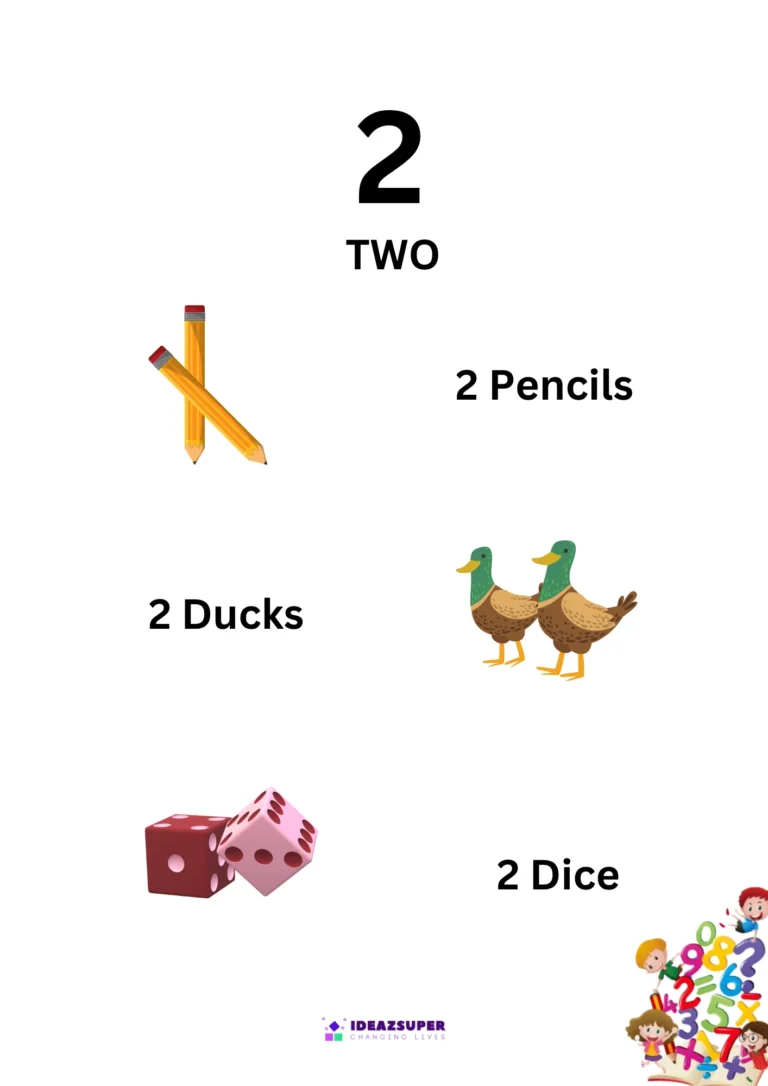 Number 2 Identification Flash Card