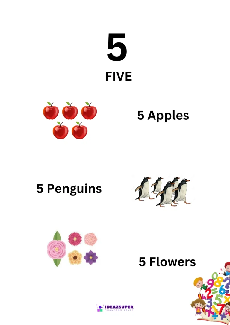 Number 5 Identification Flash Card