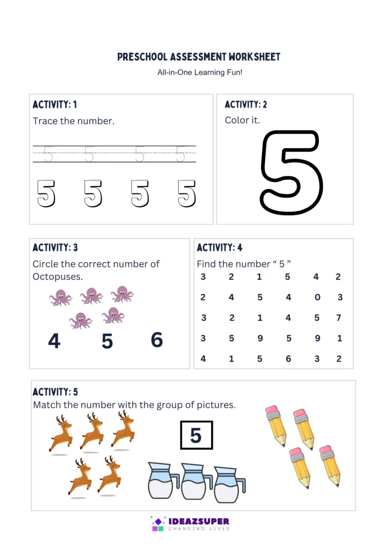 Number-5-assessment