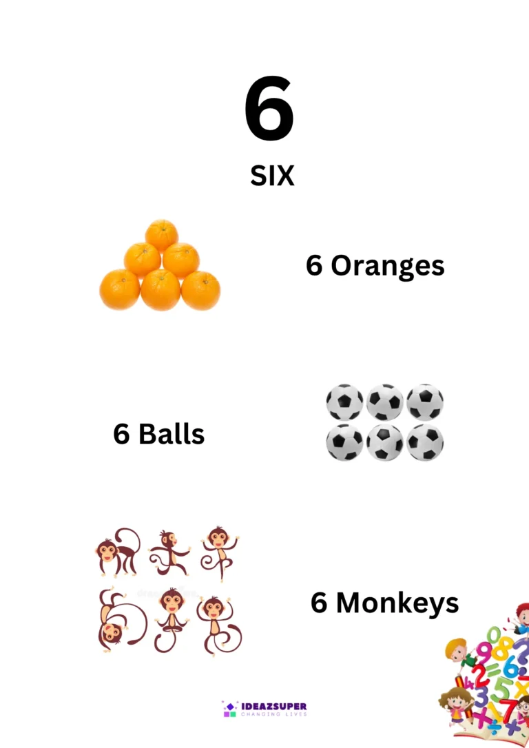 Number 6 (Six) picture flash card showing 6 oranges, 6 balls and 6 monkeys