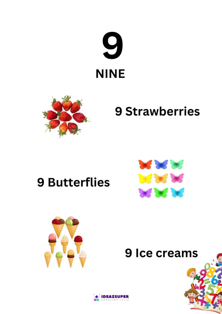 Number 9 (Nine) picture flash card showing 9 strawberries, 9 butterflies and 9 ice creams