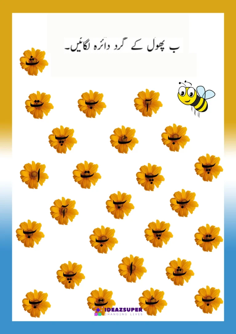 letter-bay-identification-worksheet-preschool-circle