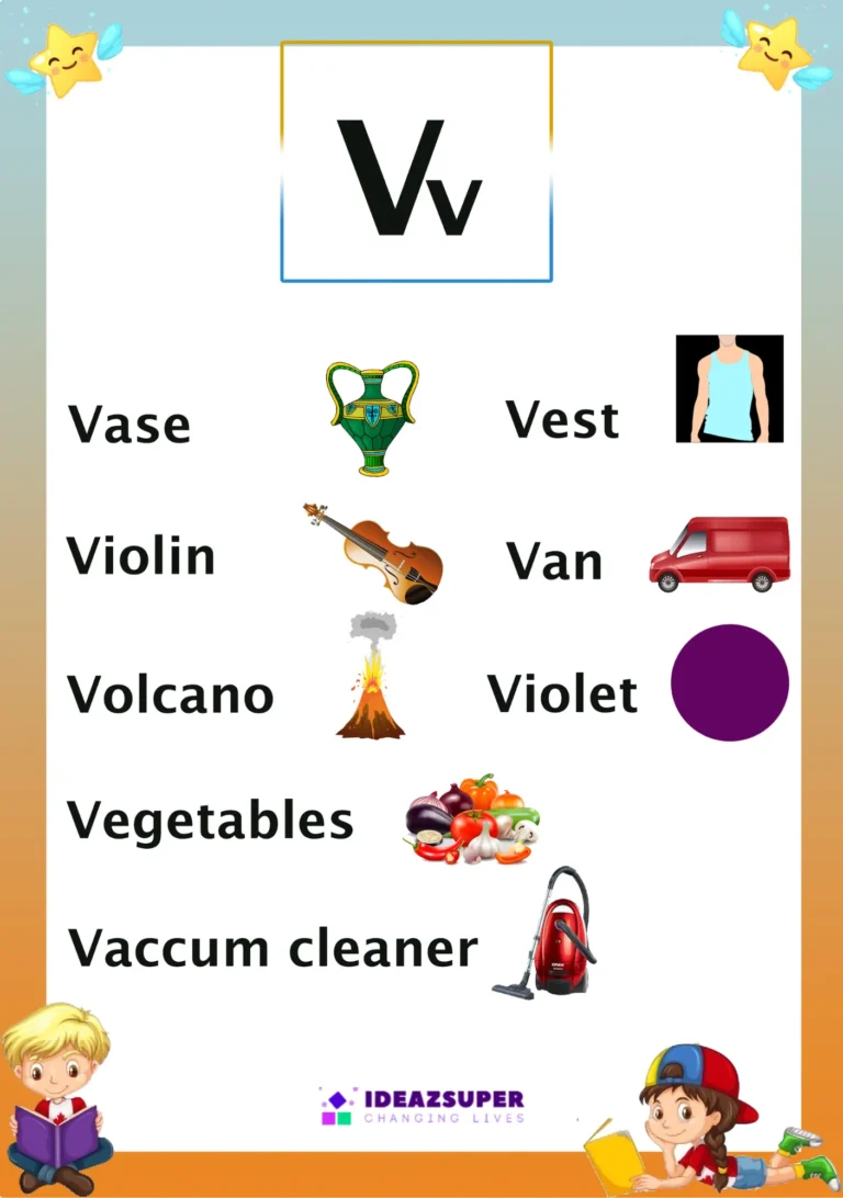 Letter V picture flash card with words that begin with V