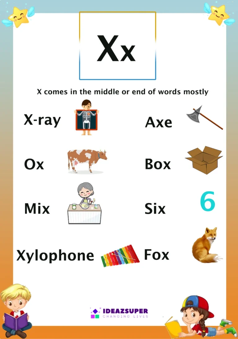 Letter X picture flash card with words that begin with X